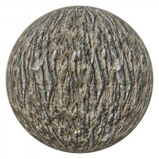 PBR texture wood tree bark 4K